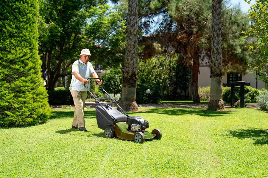 small grass mower